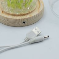 Lysande Glaskupa med Blommor - 20 Tulpaner - LED USB