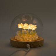 Lysande Glaskupa med Blommor - 10 Rosa Rosor - LED USB