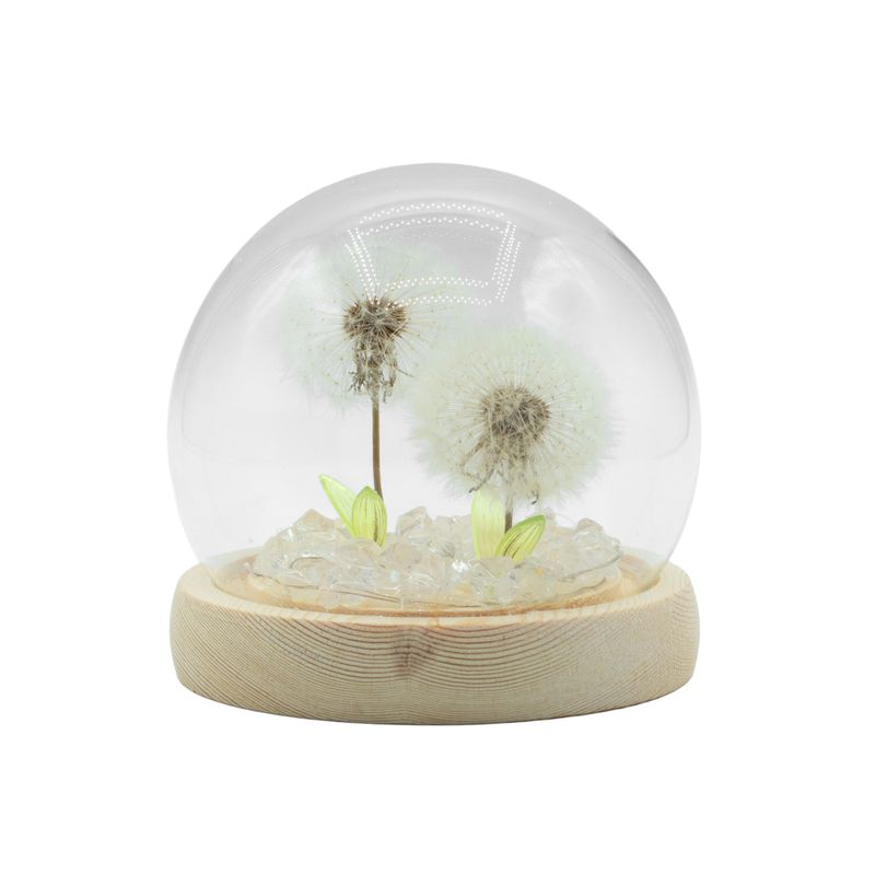 Lysande Glaskupa med Blommor - 2 Maskrosor - LED USB