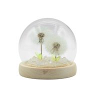 Lysande Glaskupa med Blommor - 2 Maskrosor - LED USB