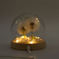 Lysande Glaskupa med Blommor - 2 Maskrosor - LED USB