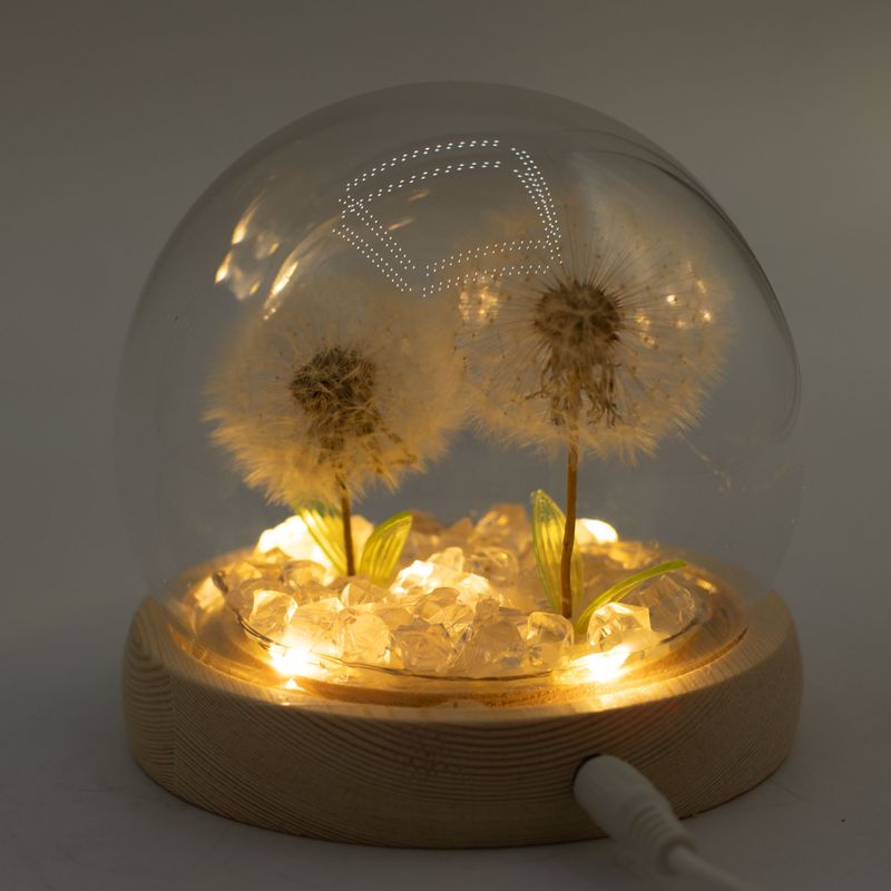 Lysande Glaskupa med Blommor - 2 Maskrosor - LED USB