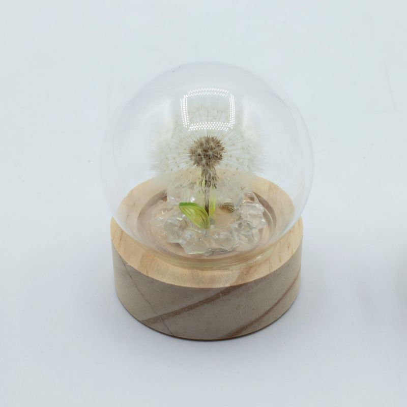 Lysande Glaskupa med Blommor - 1 Maskros - LED Batteri