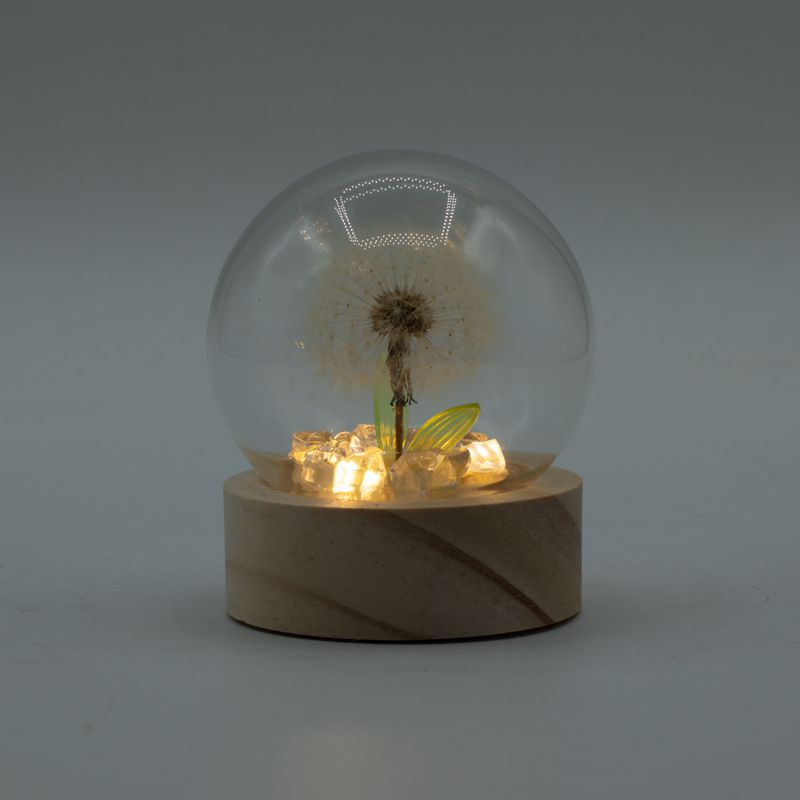 Lysande Glaskupa med Blommor - 1 Maskros - LED Batteri