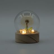 Lysande Glaskupa med Blommor - 1 Maskros - LED Batteri