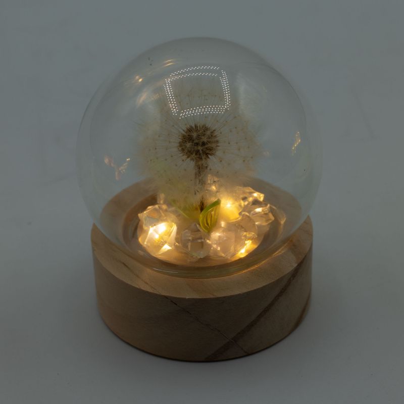 Lysande Glaskupa med Blommor - 1 Maskros - LED Batteri