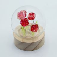 Lysande Glaskupa med Blommor - 5 Röda Rosor - LED Batteri