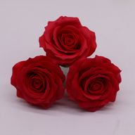 Tvålblommor till Hantverk - (5-lager) Romantisk Ros - Röd