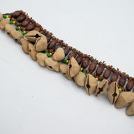 Kenari Snäckskal Ankelskakare - Skallrande Armband (20 snäckskal)