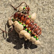 Kenari Snäckskal Ankelskakare - Skallrande Armband (20 snäckskal)