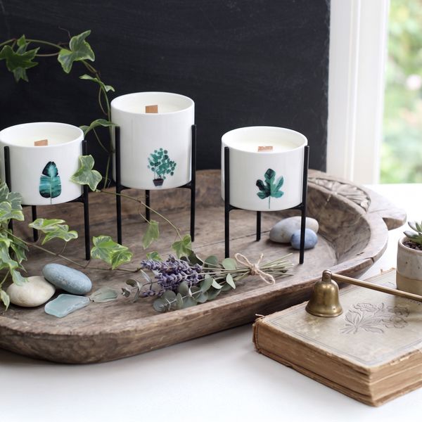 Botaniska Sojaljus med Träveke