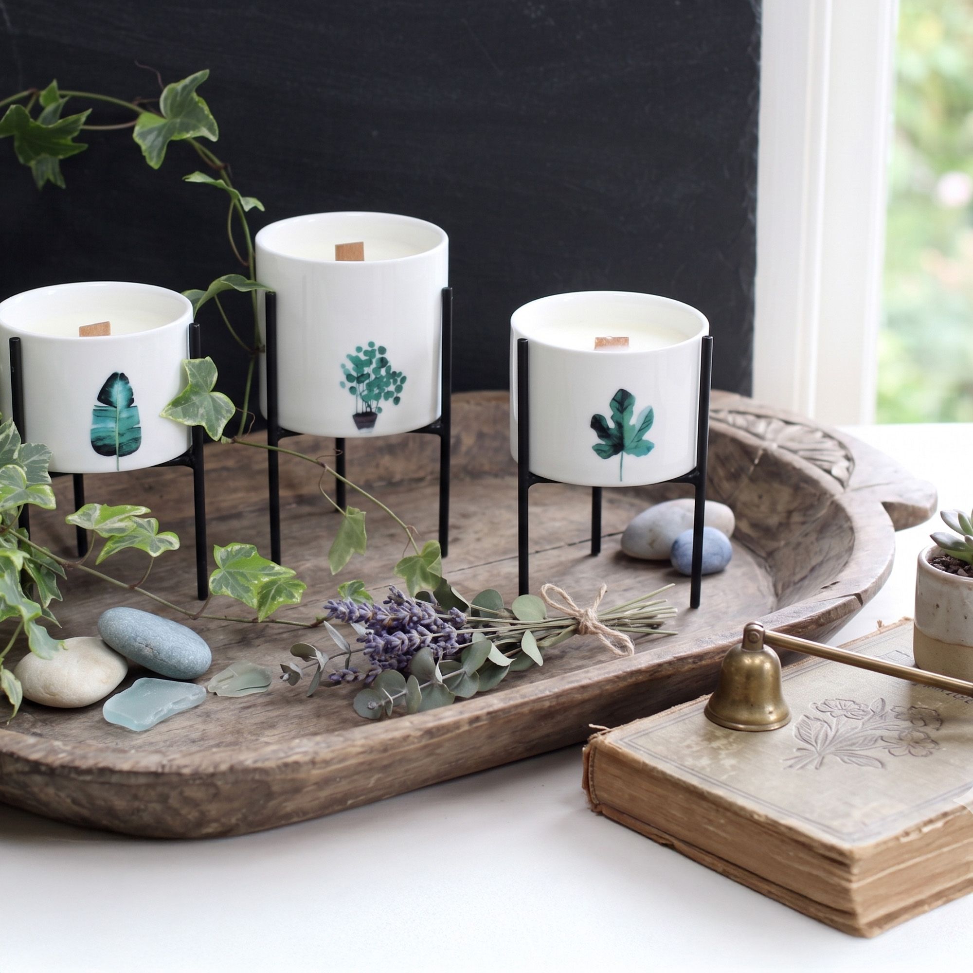 Botaniska Sojaljus med Träveke