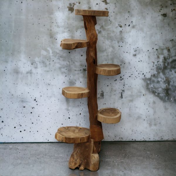 Naturliga Ställ och Hyllor i Teak