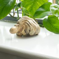 Handgjord parasitträskulptur - havsbevakande bläckfisk