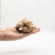Handgjord parasitträskulptur - havsbevakande bläckfisk