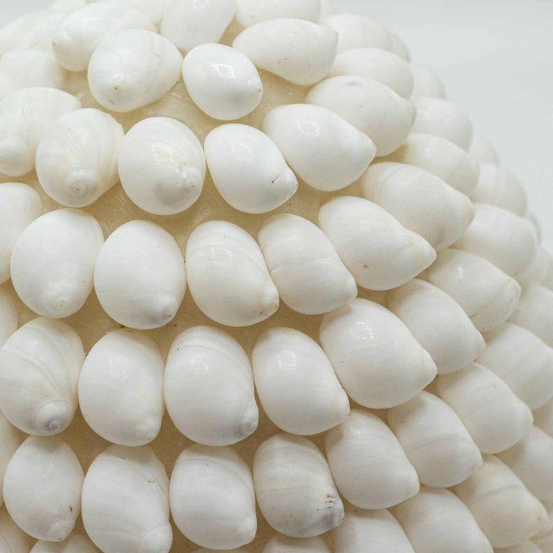 Boho Havsskal Lampa - Buting Shell Oval - 15 cm