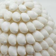 Boho Havsskal Lampa - Buting Shell Oval - 15 cm