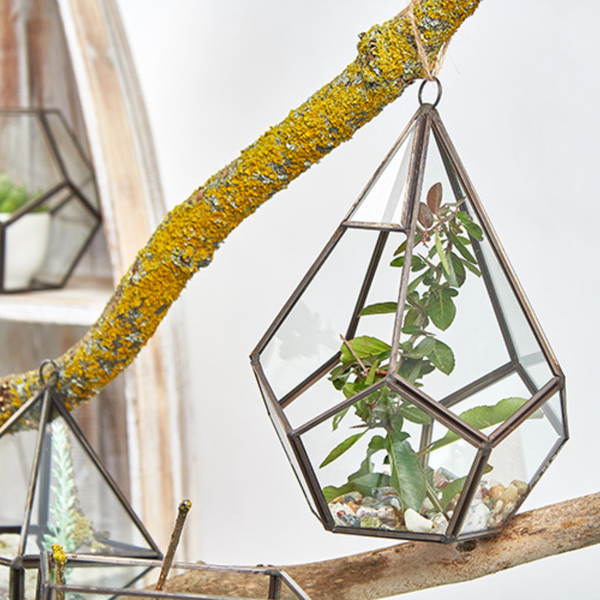 Terrarier i Glas