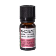 10 ml Aromaterapi bilblandning - Grand Tour
