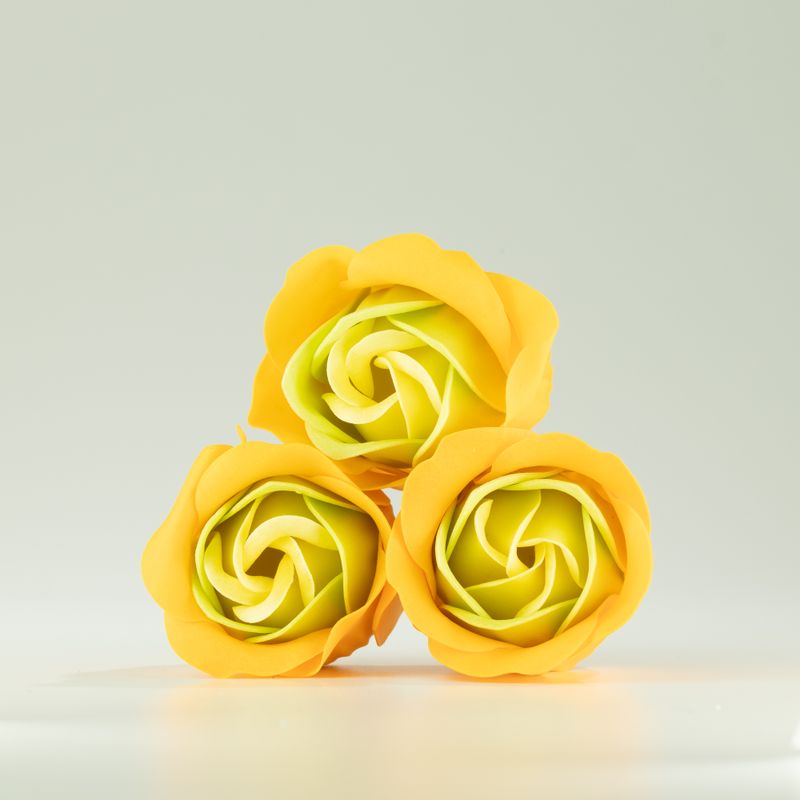 Box med 3 tvålblommor - Vårrosor