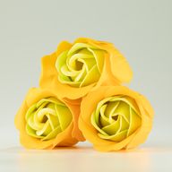 Box med 3 tvålblommor - Vårrosor