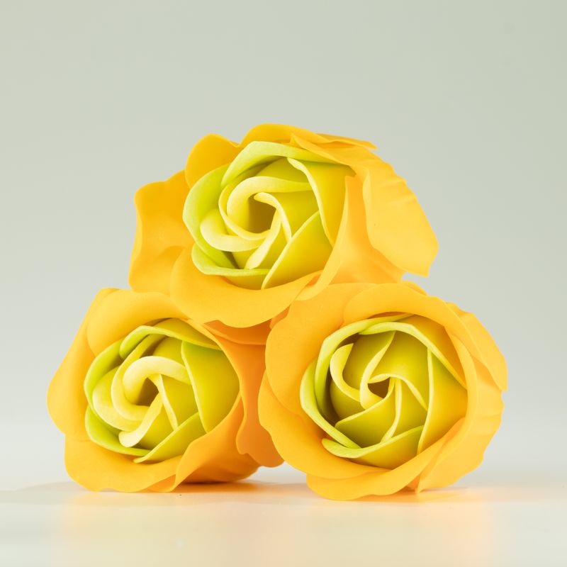 Box med 3 tvålblommor - Vårrosor