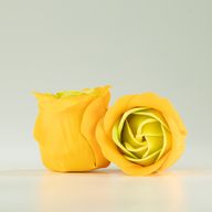 Box med 3 tvålblommor - Vårrosor