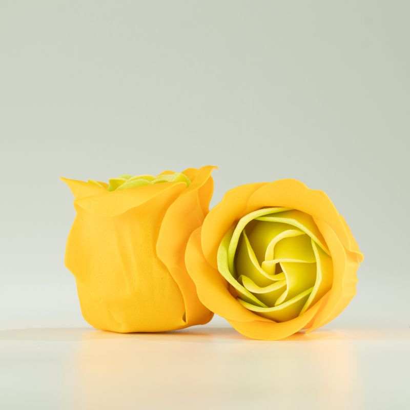 Box med 3 tvålblommor - Vårrosor