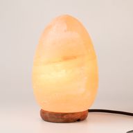 Saltlampa äggformad - träbas