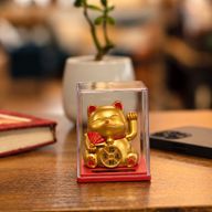 Mini solcellsdriven pengkatt i låda - Guld