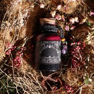 Ancient Witch Startpaket – 69 delar | Spara 10%