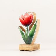 Trähusväxter - Mini-tulpan