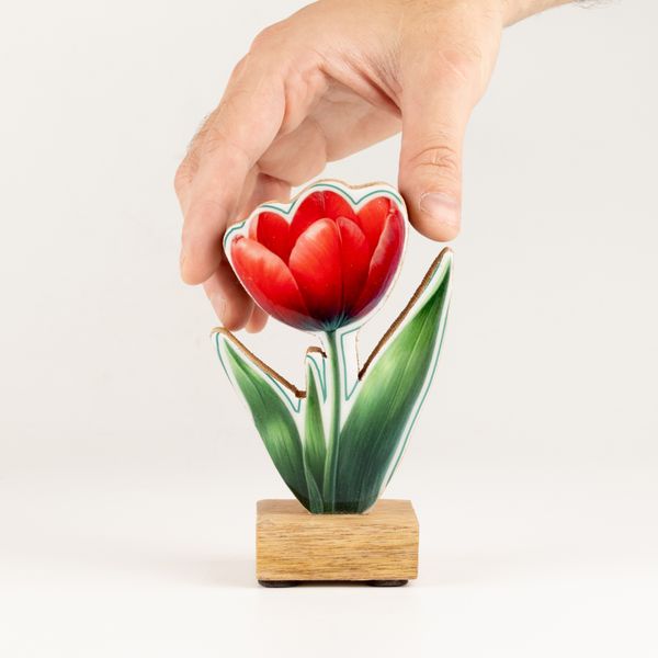 Trähusväxter - Mini-tulpan