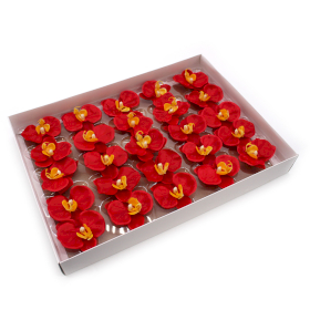 25x Tvålblommor för Hantverk - Orkidé - Röd