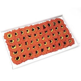 50x Tvålblommor för Hantverk - Liten Solros - Orange