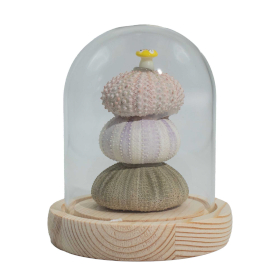 Lysande Glaskupa med Blommor - 3 Sjöborrar - LED USB